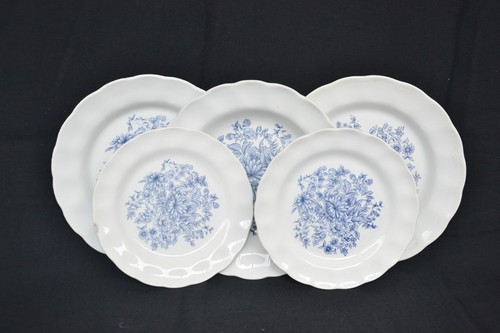 Florea blue fontebasso 5 - florea,