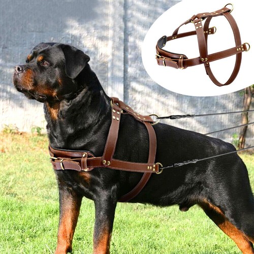 Imbracatura per cani - , in