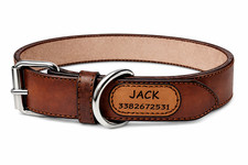 COLLARE CANE COLLARE PER CANE