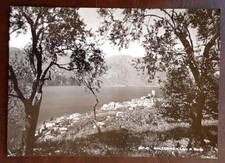 Cartolina Malcesine Lago di