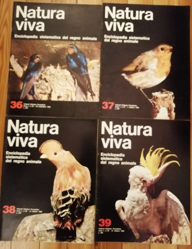 Natura viva enciclopedia - natura,
