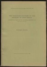 Reinhardt Thiessen / Vascular