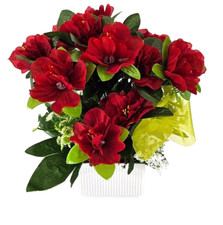 Fiore in vaso azalea