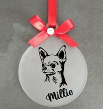 Chiwawa Regalo Ricordo