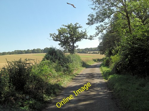 Photo 12x8 ibworth lane - 12x8,