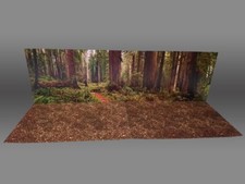 Oversize Endor Forest Sfondo