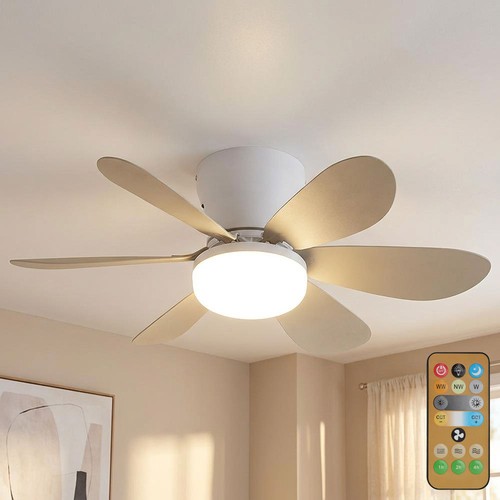 Globo ventilatore soffitto - globo,