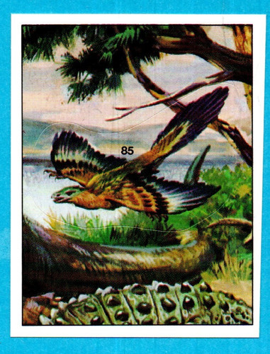 DINOSAURS/ANIMALI