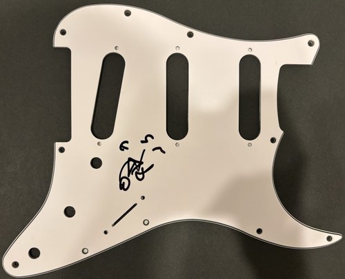 Battipenna chitarra elettrica