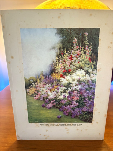 Queen mary hand signed - mary,