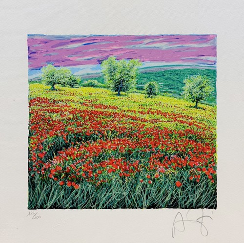 Franco azzinari papaveri - franco,