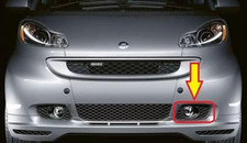 Coppia Fendinebbia Smart 451