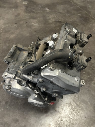 Motore hornet 600 - motore,