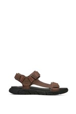 TIMBERLAND - Sandali uomo