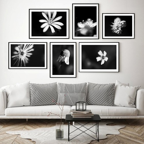 Immagini fotografiche - 6,