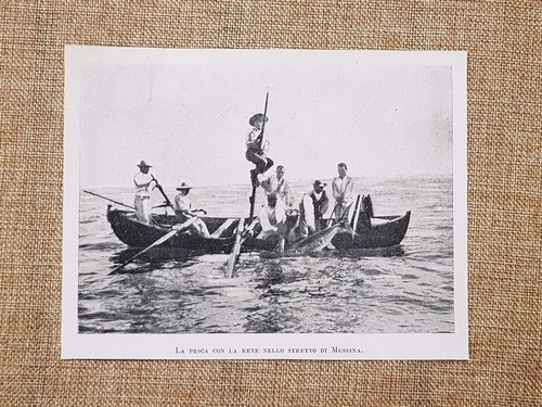 Pesca con rete nello - pesca, la
