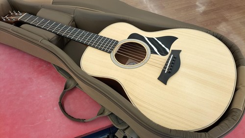 Chitarra acustica taylor - acustica,
