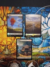 Lotto Mtg 16 Land SET FULL ART