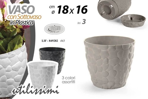 Vaso piante grasse fiori semi - piante,