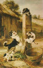 C4 - Cp Cartolina Illustrata Cani Vs Gatto  -  Fp  Nvg