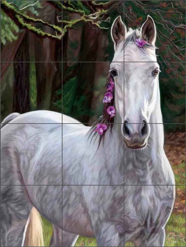 Paraspruzzi piastrelle cavallo