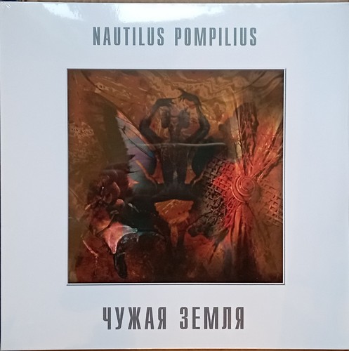 Nautilus pompilius - nautilus,