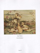 Bella Vintage Uccello Stampa ~