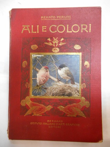 Ali colori fra nostri - fra,