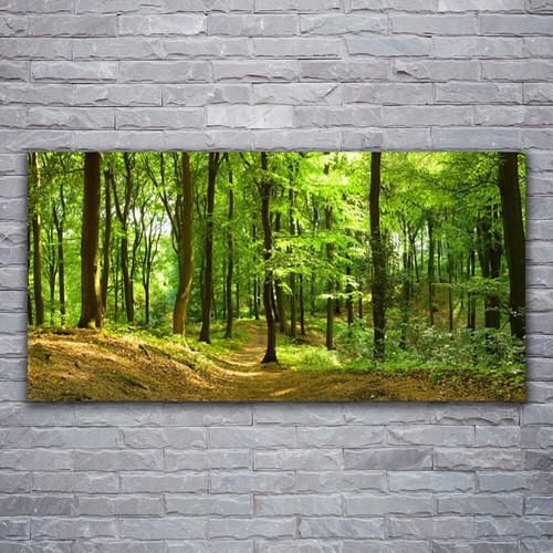 Stampa tela canvas 120x60 - stampa, su