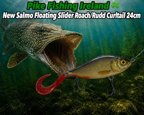 Pesca luccio - al,