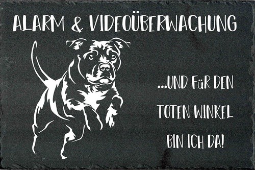 Staffordshire bullterrier - staffordshire,