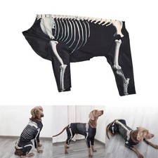 Cane Quattro Gambe Vestitini