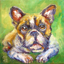 Bulldog francese dipinto olio