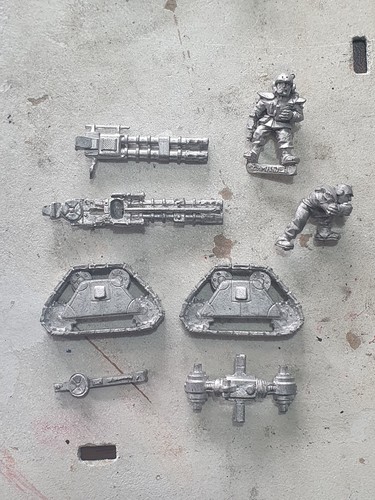 Rogue trader rt503 guardia - trader,