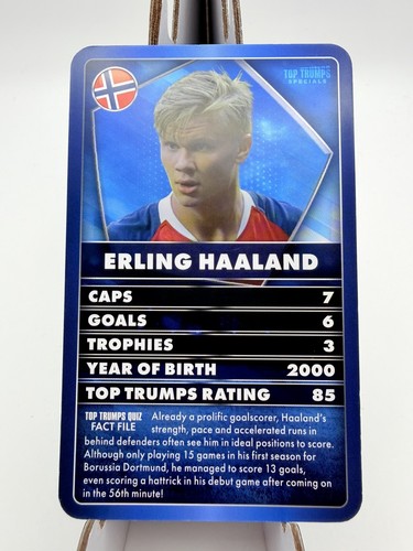 Erling haaland norvegia - haaland, ~