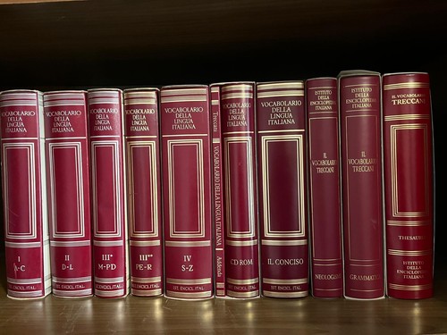 Vocabolario della lingua