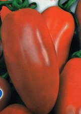 500 SEMI DI POMODORO SAN MARZANO LUNGO *SEMENTI ORTAGGI PIANTA INDETRMINATA