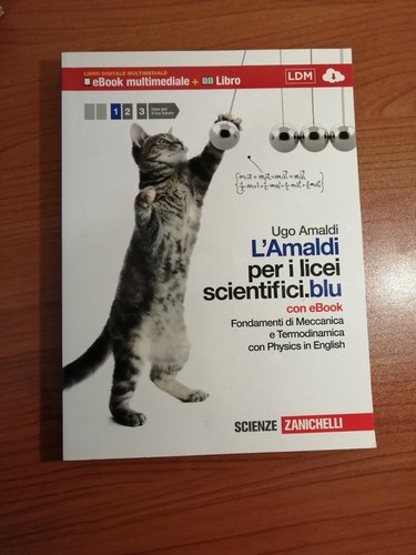 L'Amaldi licei scientifici