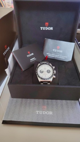 Tudor black bay - black, "panda"