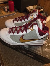 Nike Lebron 7 QS MVP Uomo
