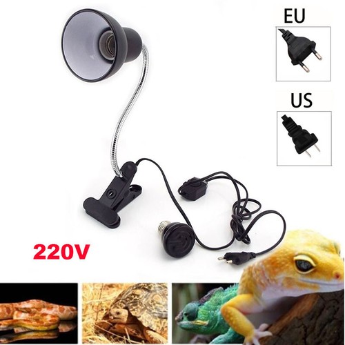 Kit lampada rettile tartaruga