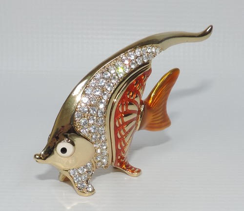 Pesce angelo oro con