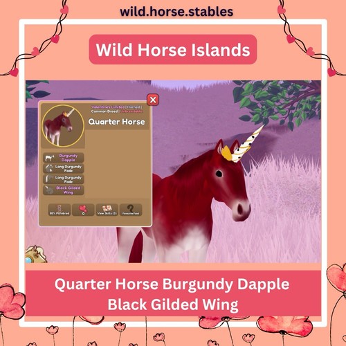Wild horse islands borgogna - wild,