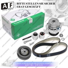 KIT CINGHIA DENTATA ININA per