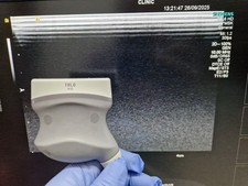 siemens acuson 18L6 HD sonda