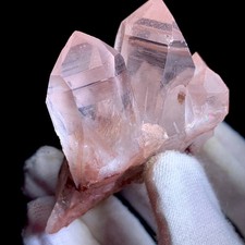 40G Top Special Bellissimo