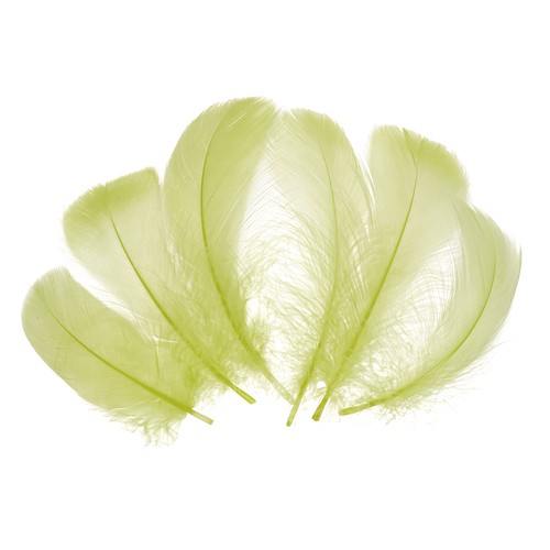 300 pcs piume artigianali - piume,