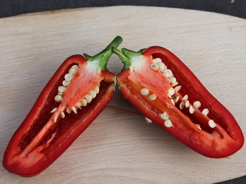 Peperoncino jalapeno deadpool - jalapeno,