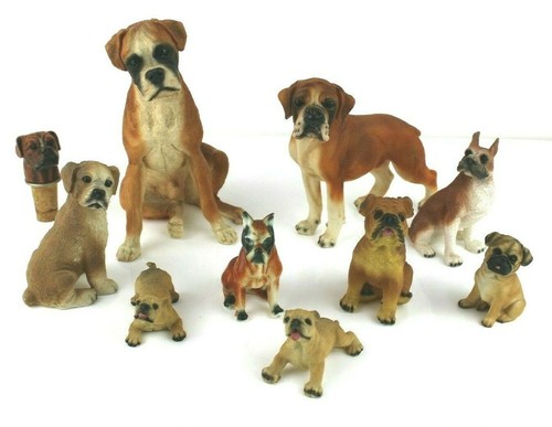 Lotto cani boxer - 9,