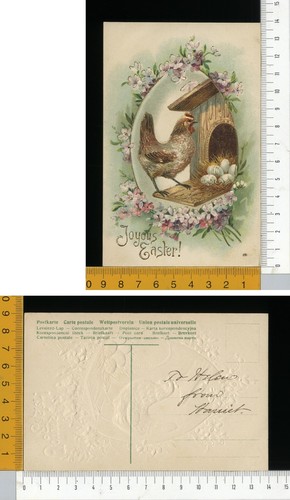 V01272 buona pasqua easter - pasqua,